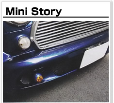 MINI STORY:photo