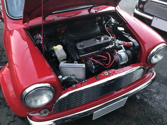 feralli1