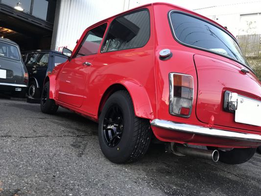 feralli2
